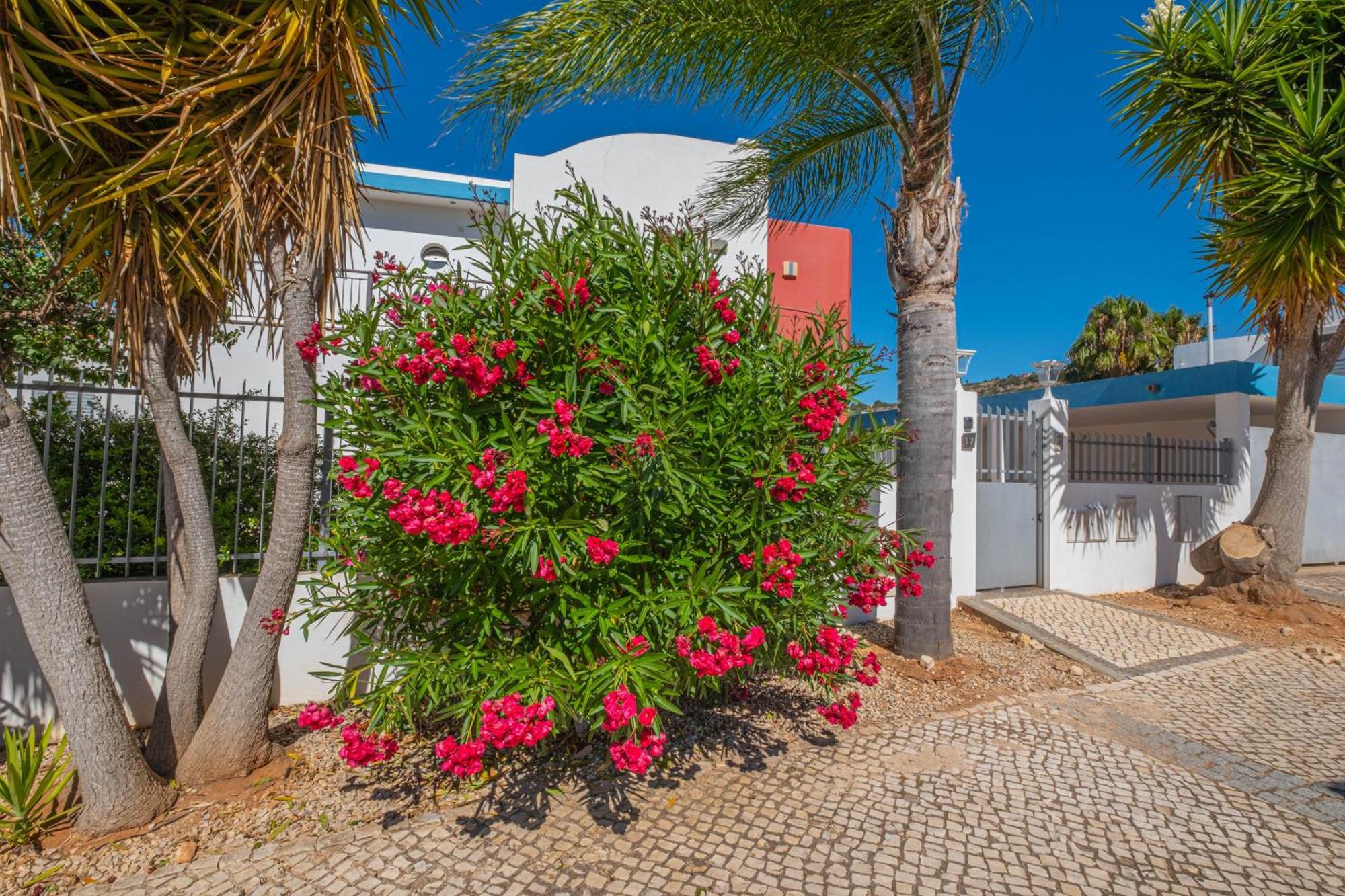 Capetown Marina Luxury Villa - Private Pool Албуфейра Екстериор снимка